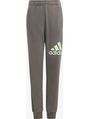 Adidas Παιδικό Παντελόνι Φόρμας Ανθρακί IS2597