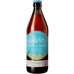 Water Kefir Elderflower (Σαμπούκο) 330ml