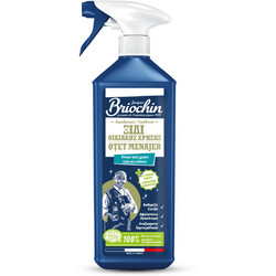 Ξίδι οικιακής χρήσης σε μορφή τζελ 750 ML BRIOCHIN (59149)