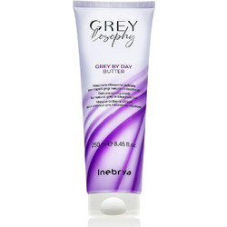 Inebrya Greylosophy Grey By Day Butter Μάσκα Μαλλιών για Γκρίζα Μαλλιά 250ml