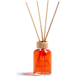 Diffuser ORANGE AND CINNAMON 50ml/7x17cm