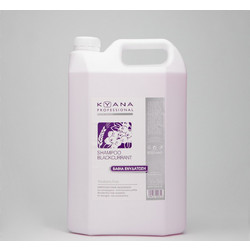 Kyana Black Currant Σαμπουάν 5lt