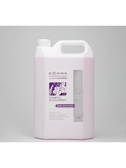 Kyana Black Currant Σαμπουάν 5lt