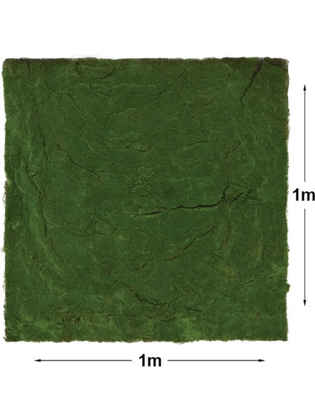 ΜΟΚΕΤΑ ΒΡΥΑ ΠΡΑΣΙΝΟ ΠΛΑΚΑΚΙ - 100x100cm 24/ΚΙΒ 01-60002