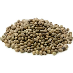 Royal Vogelfutter Hemp Seed 5kg