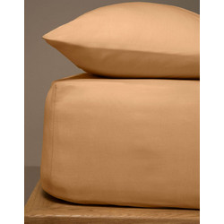 Sunshine Home Σεντόνι Μονό Βαμβακερό με Λάστιχο 100x200+20 Menta 05 Brown