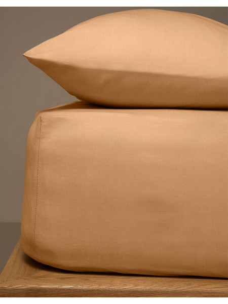 Sunshine Home Σεντόνι Μονό Βαμβακερό με Λάστιχο 100x200+20 Menta 05 Brown