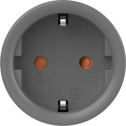 Sonoff Sonoff S60TPF Smart Μονόπριζο Λευκό 11700