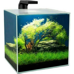 Ciano Cube 15 Clear Ενυδρείο Ψαριών με Φωτισμό & Φίλτρο 14lt Μαύρο