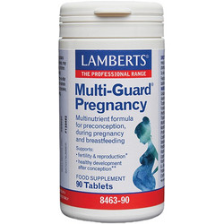 Lamberts Multi Guard Pregnancy 90 Ταμπλέτες