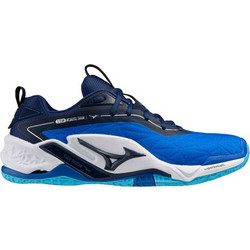 Mizuno Wave Stealth Neo 2 Ανδρικά Αθλητικά Παπούτσια για Handball Royal Blue X1GA2400-01