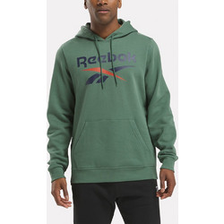 Reebok Sport Ri Flc Big Logo Ανδρικό Αθλητικό Φούτερ με Κουκούλα Χακί 100205965