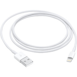 Apple USB-A to Lightning Cable 12W 1m White 195949087714