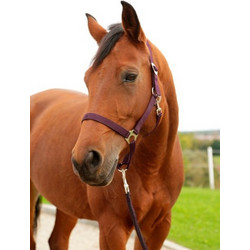 Kerbl Halter Hippo Καπίστρι Αλόγου 27210469