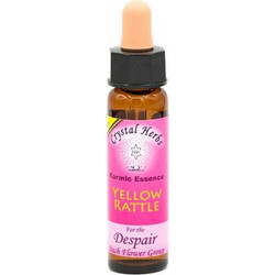 Crystal Herbs Yellow Rattle Ανθοΐαμα σε Σταγόνες για Μελαγχολία 10ml