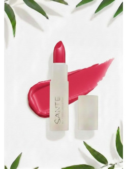 Sante Moisture 06 Rose Blush Matte Κραγιόν Stick 4.5gr