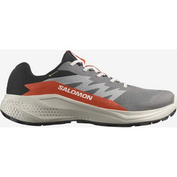 Salomon Alphaglide GTX Ανδρικά Αθλητικά Παπούτσια Trail Running Γκρι L479753