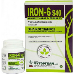 Φυτοργκάν Iron-6 Κοκκώδες Υδατοδιαλυτό Λίπασμα Χηλικού Σιδήρου 1kg