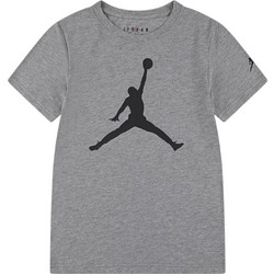 Jordan Παιδικό T-Shirt Κοντομάνικο Γκρι 952423-GEH
