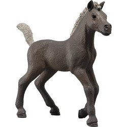 Schleich Horse Club Foal Darcy 81460