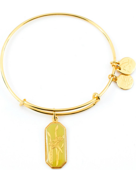 Alex and Ani Γυναικείο Βραχιόλι Βέργα Xρυσό A14EB96YG