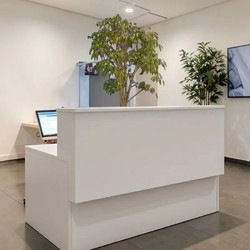 Stewe Home Γραφείο Reception Ξύλινο 160x80x105cm 748582