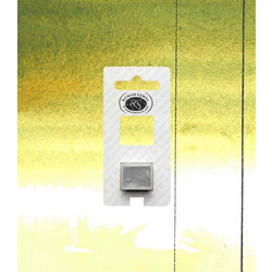 Roman Szmal Aquarius 363 Autumn Green Νερομπογιά 11-590-363