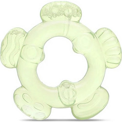 Lorelli Λουλούδι Μασητικό Οδοντοφυΐας Νερού Fresh Green 3m+