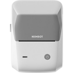 Niimbot B21s Θερμικός Εκτυπωτής Ετικετών Φορητός Μονόχρωμος 203dpi Bluetooth Γκρι