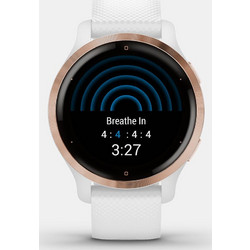Garmin Venu 2S Rose Gold / White