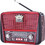 Golon RX-BT455 Red
