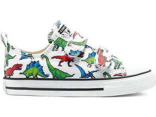 Converse Chuck Taylor All Star 2V Low Top 770166C