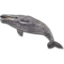 Collecta Γκρίζα Φάλαινα 88836