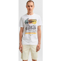 Ανδρικό t-shirt 16079045