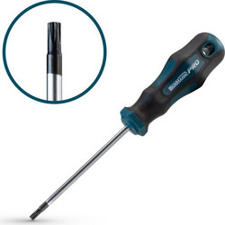 Bormann Pro BHT7032 - Κατσαβίδι Torx με τρύπα TT20x100mm S2 (045939)