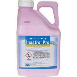 BASF Inastro Pro Εντομοκτόνο για Κουνούπια, Μύγες & Μυρμήγκια 5lt
