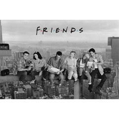 Friends Poster Skyscraper 61 x 91 cm