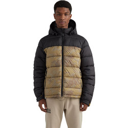 O'Neill 2500023-37010
