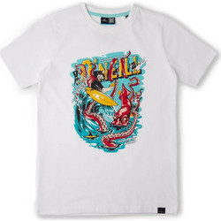 O'Neill Παιδικό T-Shirt Κοντομάνικο Λευκό 4850013-11010