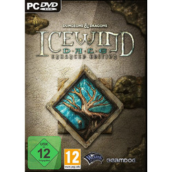Icewind Dale Enhanced Edition PC