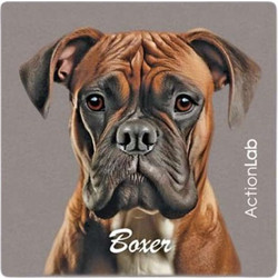 Action Lab Μαγνητάκι Magnet Boxer