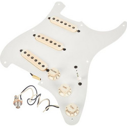 Seymour Duncan Antiquity Texas Hot St PG AW