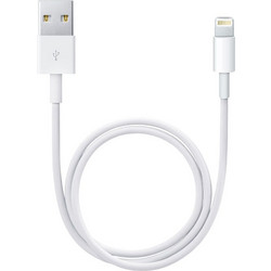 Foxconn USB-A to Lightning Cable 1m White MD818ZM/A
