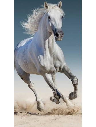 Towel - 70 x 140 cm - Horse (1100339)