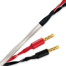Wireworld Luna 10 Speaker Cable - 6m