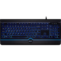 Tracer Office Pro Black