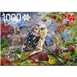 Puzzle Jumbo Owls in the Moonlight 1000 Κομμάτια