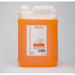 Kyana Neutralizing Σαμπουάν για Επανόρθωση 5lt