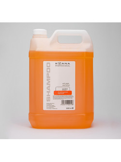 Kyana Neutralizing Σαμπουάν για Επανόρθωση 5lt