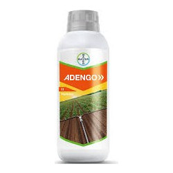 Adengo 465 SC 1L - Προφυτρωτικό/μεταφυτρωτικό ζιζανιοκτόνο στο καλαμπόκι